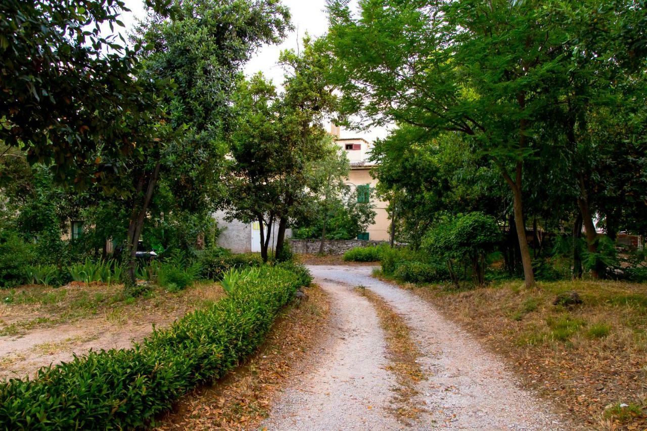 Casa Ana Apartment Zadar Exterior photo